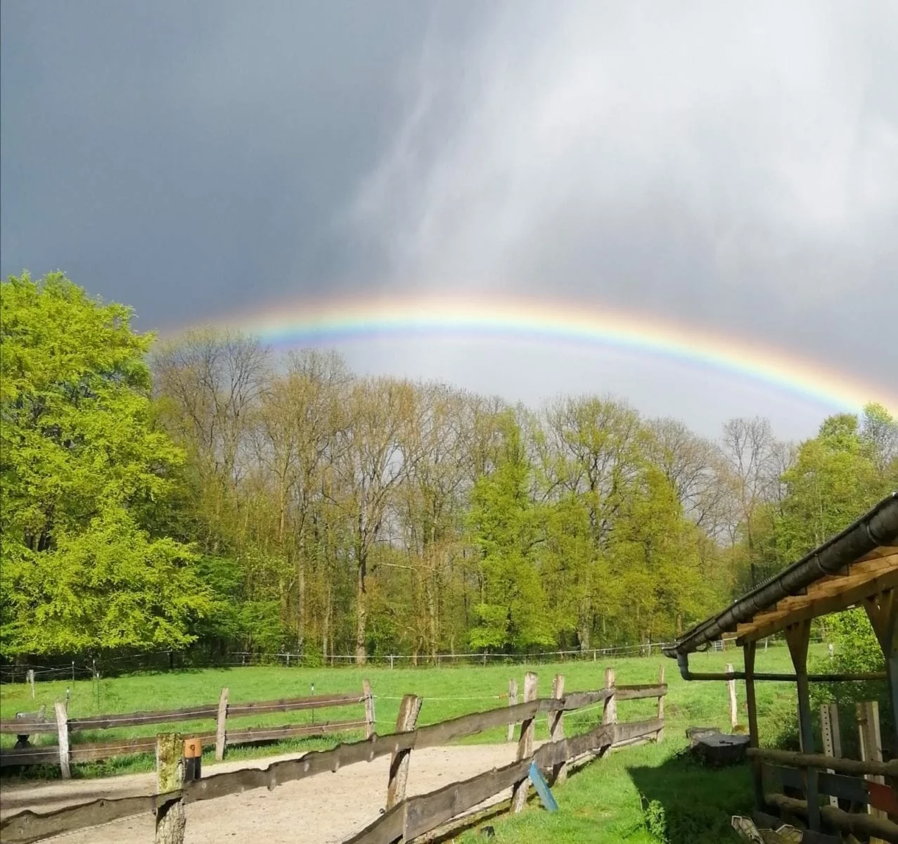 Regenbogen über den Weiden des Schweizerhofs